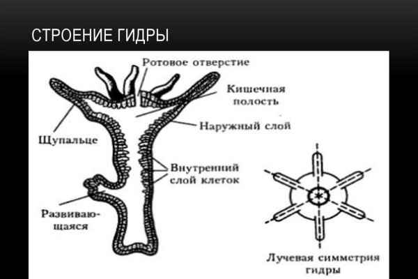 Кракен сайт ссылка kraken clear com