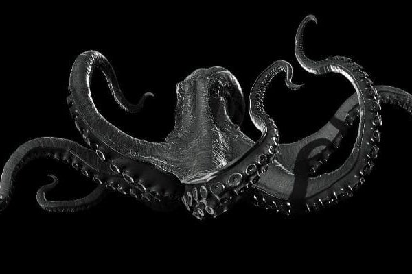 Kraken https