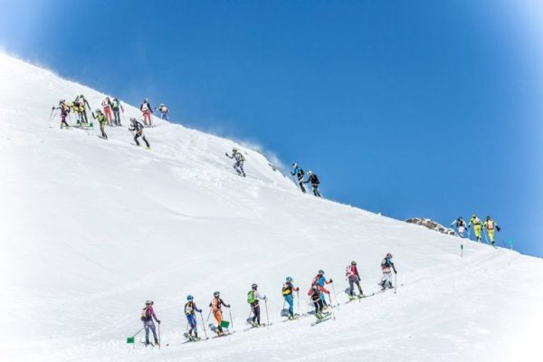 Кракен сайт ссылка тор браузере