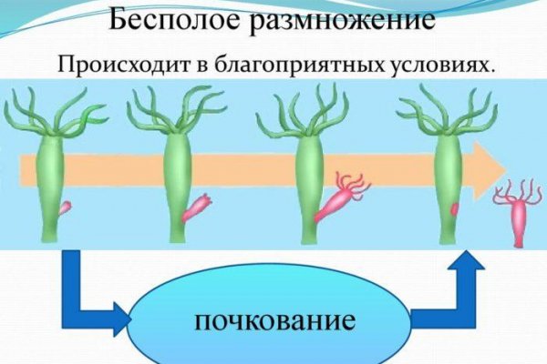 Не приходят деньги на кракен