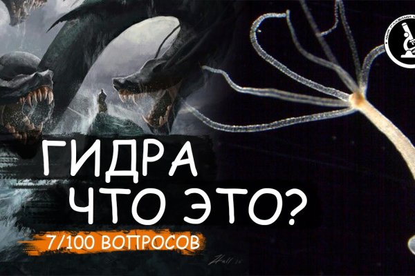 Kraken зеркало рабочее