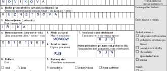 Заполнение анкеты для получения визы в Чехию